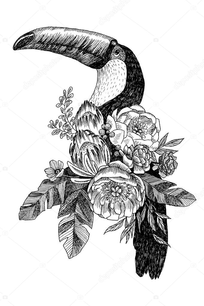 exotic bird tukan with blooming flowers. Isolated decorative element. Botanical concept. Tropical concept. flower concept. Vector design