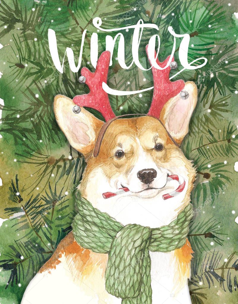 Watercolor artistic Christmas dog portrait on spruce background. Cute pet animal hand drawn. Animal concept. Watercolor concept.