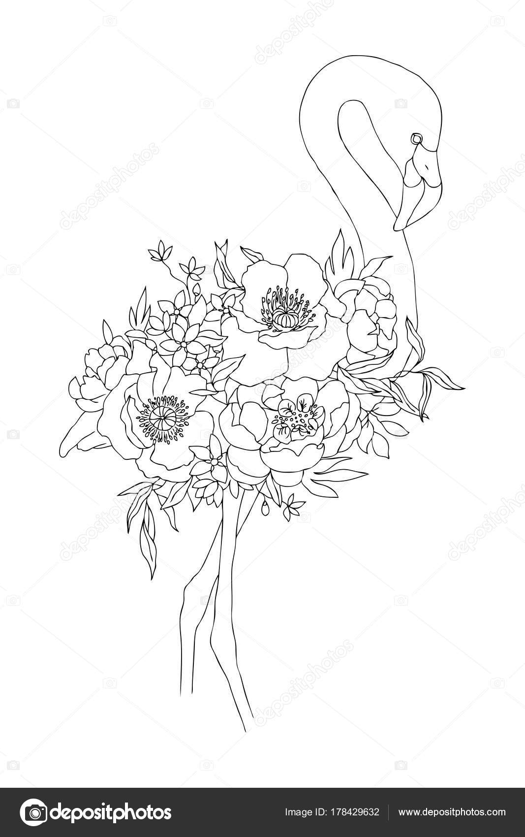 Vecteur Linéaire Dessin Oiseau Flamant Rose Avec Fleurs