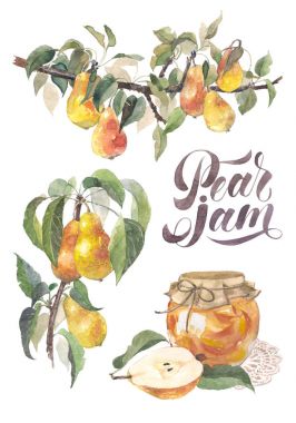 Sulu Boya meyve armut şube ve reçel kümesi. Bahçe tesisi, kavanoz reçel, ayrıntılarını yazı. Raster sürüm. El beyaz arka plan üzerinde resim çizimi