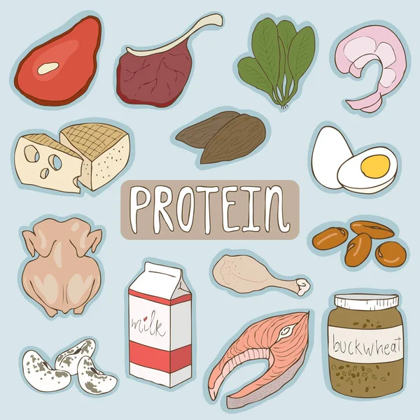 Zestaw Protein foods zdrowe plan. Opieki zdrowotnej medycznego. Płaskie ikona kreskówka wektor projektowania wektorowa — Wektor stockowy