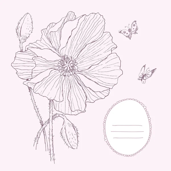 Ilustración botánica vintage flor de flor con lugar para el texto. Poppy, mariposa. Diseño vectorial — Vector de stock