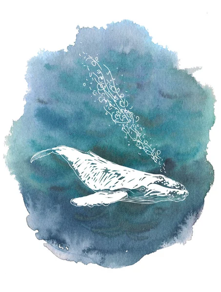 Blaue Meerwasser-Aquarell-Tinte handgezeichnet Strich isoliert Papier Körnung Textur Fleck auf weißem Hintergrund für Design, Dekoration. Weißwal-Skizze — Stockfoto