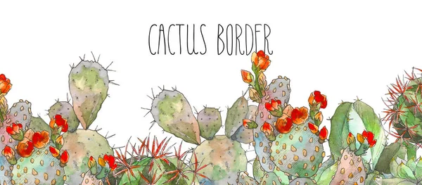 Aquarel grens botanische illustratie cactus, geïsoleerde, object en tropen — Stockfoto