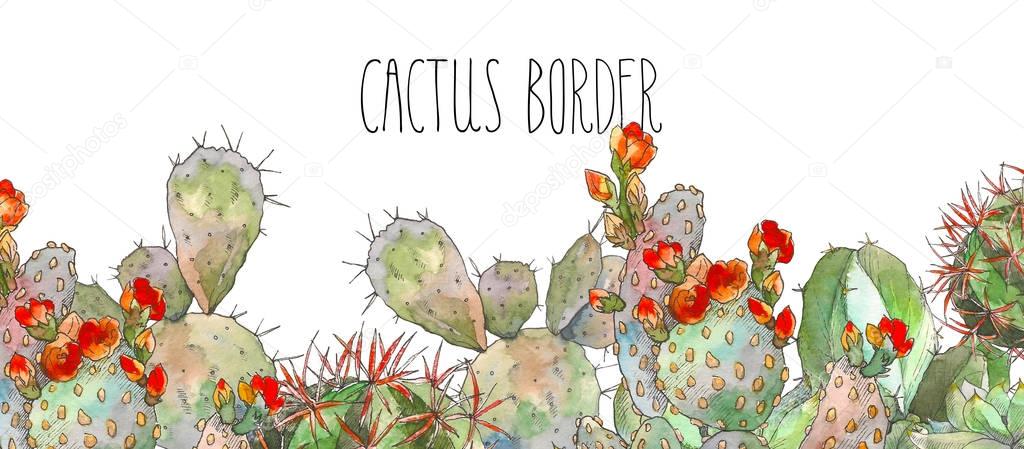 Watercolor border botanical illustration cactus, isolated object, tropics