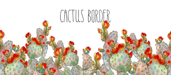 Akvarell gränsen botaniska illustration cactus, isolerade objekt, tropikerna — Stockfoto