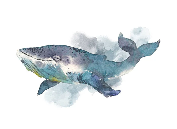 Balina. Deniz hayvan. El boyaması illüstrasyon izole beyaz zemin üzerine suluboya — Stok fotoğraf
