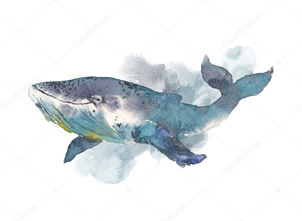 Whale. Sea animal. Watercolor Hand-painted Illustration Isolated on white background