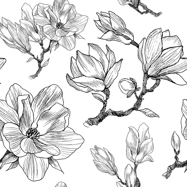 Tinta, lápiz, hojas y flores de Magnolia. Fondo de patrón sin costuras. Pintura natural dibujada a mano. Ilustración de bocetos a mano alzada — Vector de stock
