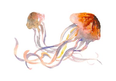 Denizanası izole sembolü. Medusa uzun tentacles logolu. Suluboya doodle çocuk, kumaş, gömlek, giyim, dövme, afiş, Web sitesi, tebrik kartı için yazdırma.