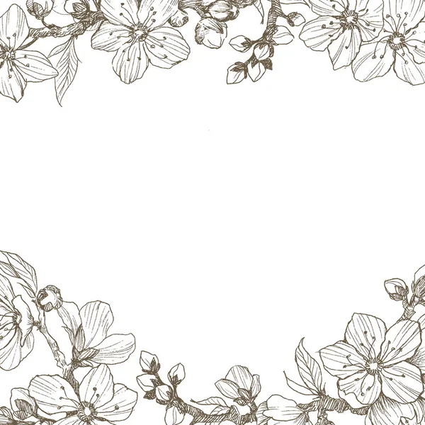 Fronteira ramo flor de amêndoa. Vintage botânica mão desenhada ilustração. Flores de primavera de maçã ou cerejeira. Lugar para texto —  Vetores de Stock
