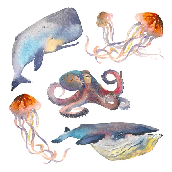Aquarell Meerestiere gesetzt. nautische Illustration von Walen, Quallen, Kraken. — Stockfoto
