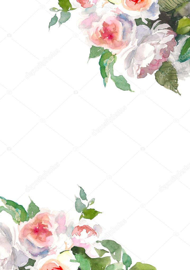 Garden roses flower. Watercolor floral illustration. Floral decorative element. Floral background. Place for text