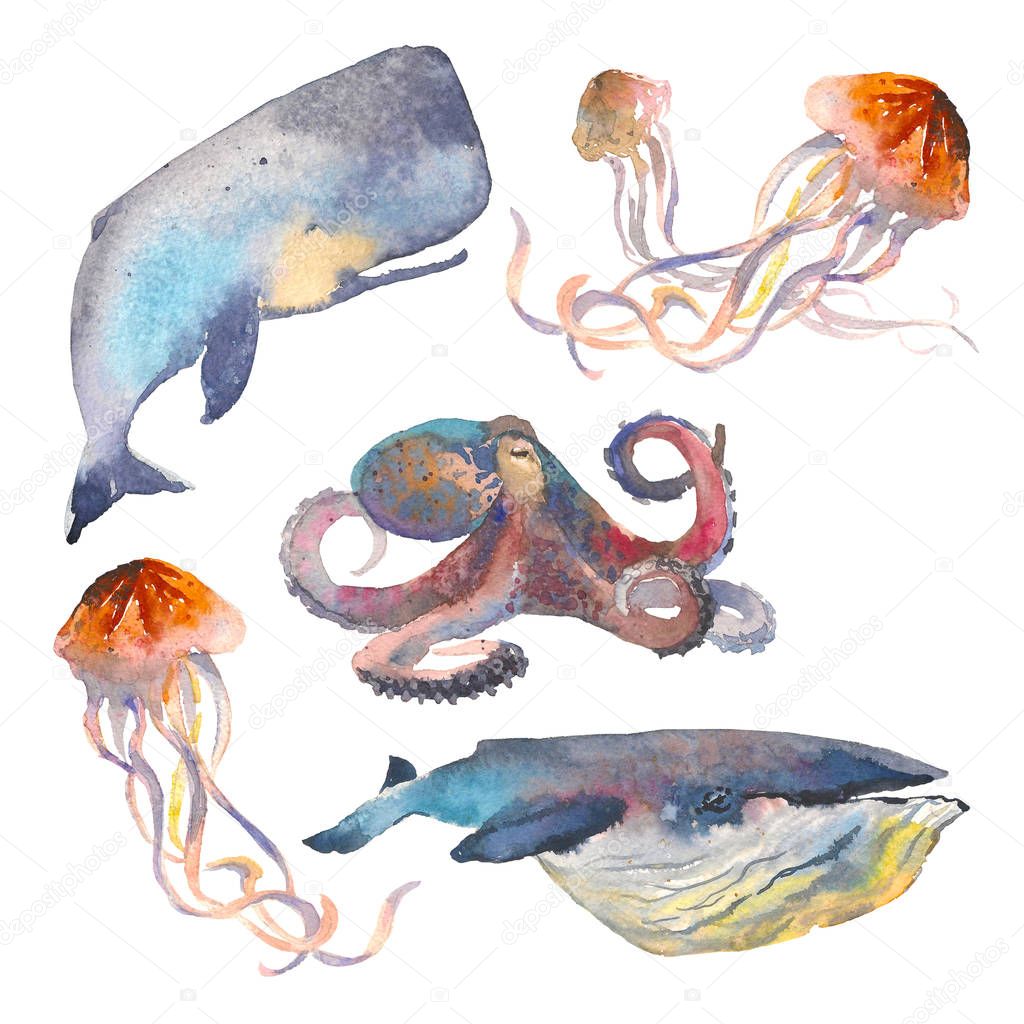 Watercolor sea animals set. Nautical illustration of whale, jellyfish, octopus.