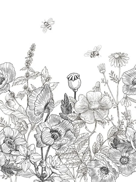 Plantas silvestres y hierbas sin costura frontera. Ilustración botánica vintage dibujada a mano. Flores de primavera . — Vector de stock