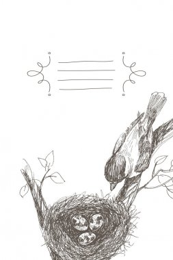 Vector illustration of hand drawn nest with spotted eggs and bird. Graphic style, beautiful illustration. Place for text in frame clipart