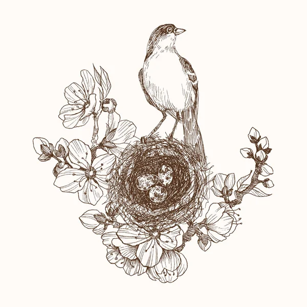 Illustration vectorielle du nid dessiné à la main avec œufs tachetés et oiseau sur brunch fleuri. Style graphique, belle illustration. Gravure style rétro — Image vectorielle