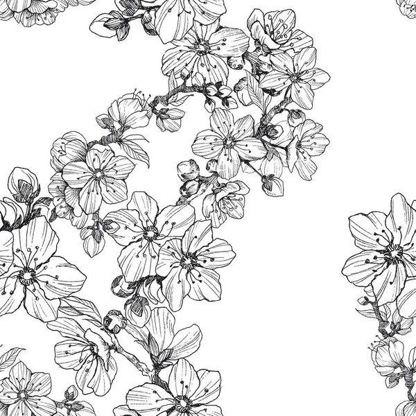 Almendros en flor imágenes de stock de arte vectorial | Depositphotos
