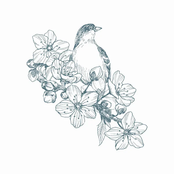 Illustration vectorielle d'oiseau dessiné à la main sur un brunch fleuri. Style graphique, belle illustration. Gravure style rétro — Image vectorielle