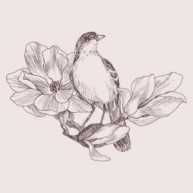 Elle çizilmiş kuş vektör Illustration Manolya çiçek açan brunch üzerinde. Grafik stili, güzel illüstrasyon. Retro tarzı oyma