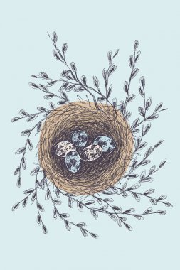Elle çizilmiş yuva benekli yumurta ve willow ile vektör Illustration. Grafik stili, güzel illüstrasyon izole beyaz arka plan üzerinde