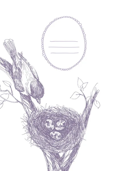 Vektorillustration eines von Hand gezeichneten Nestes mit gefleckten Eiern und Vögeln. Grafischer Stil, schöne Illustration. Platz für Text im Rahmen — Stockvektor