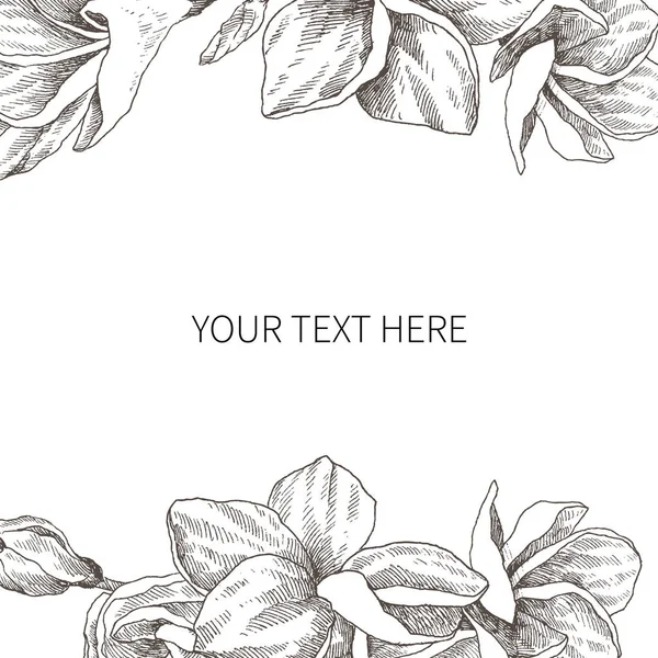Croquis dessiné à la main fleur tropicale Plumeria avec place pour le texte. Illustration vectorielle style de gravure. Objets isolés d'art linéaire très détaillés — Image vectorielle