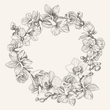 Çelenk çiçek orkide, plumeria, kiraz çiçeği, metin için yer. Vintage çerçeve arka plan. El doğa resim çekilmiş. Serbest çizim düğün, logo, tasarım için çizim