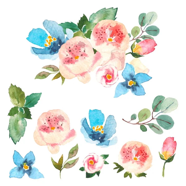 Acquerello set floreale. Collezione floreale variopinta con foglie e fiori, disegno ad acquerello. Set di elementi floreali per le tue composizioni . — Foto Stock