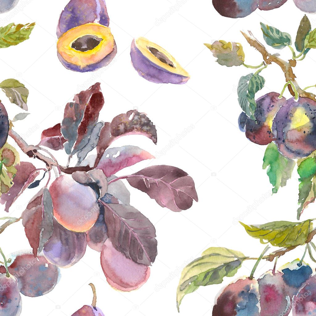 Seamless pattern of watercolor fruit plum branch isolated on white background. Hand drawn painting. for your design, cloth, package
