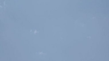 Köln Katedrali üzerinde gökyüzünden 4k ve S-Log3'teki suya doğru eğin. Koelner Dom. Uzun atış.