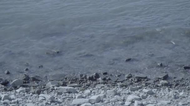 Pequenas ondas do rio Reno atingem a margem do rio em 4K e S-Log3. Tiro médio . — Vídeo de Stock