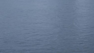 4k ve S-Log3'te sudan Köln Katedrali'ne doğru eğin. Koelner Dom. Uzun atış.