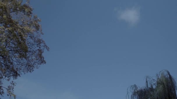 Nová radnice v Hannoveru, Německo. Nakloněná rovina z oblohy na zadní část budovy ve 4 k a S-Log3. Dlouhý záběr. Na podzim. Neues Rathaus Hannover. — Stock video