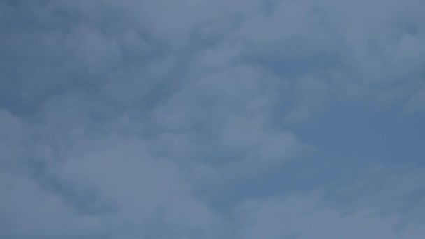 Новая ратуша в Ганновере, Германия. Pan from right to left on tower in 4K and S-Log3. Средний выстрел. Осень. Ной-Ратхаус-Ганновер . — стоковое видео