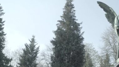 Bir güneşli bir bahar gününde bir melek ile 20 yüzyıldan eski mezar taşı. Melek aracılığıyla doğru geçen soldan dön. 4k Slog3. Orta atış.