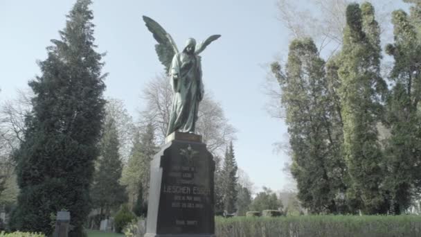 Oude grafsteen uit de 20e eeuw met een engel op een zonnige lentedag. Langzame pan van rechts naar links. 4k in Slog3. Grote schot. — Stockvideo