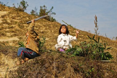 Kuzey Vietnam 'daki Sapa Vadisi' nde çocuklar oynuyor ve savaşıyor.
