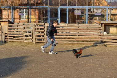 Fotoğrafçının tavuğun peşinden koştuğu ve kameraya monte edilmiş bir şekilde çektiği adam. Çiftlikte video çekimi..
