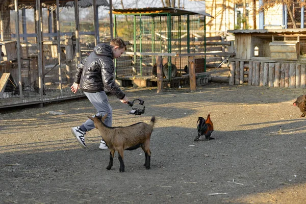 The guy the photographer runs after the chicken and shoots it on a video camera mounted on the steadic. Shooting a video on a ranch.