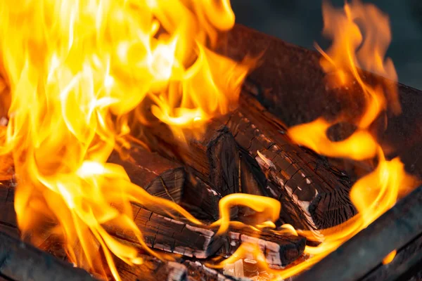 Вид огня из дров для приготовления пищи на улице . — стоковое фото