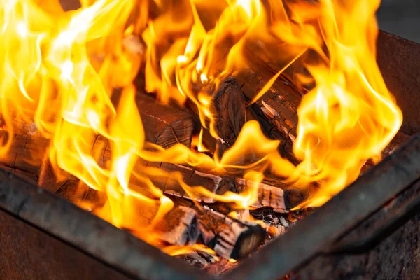 Fogo gentil de lenha para cozinhar na rua . — Fotografia de Stock