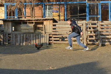 Fotoğrafçının tavuğun peşinden koştuğu ve kameraya monte edilmiş bir şekilde çektiği adam. Çiftlikte video çekimi..
