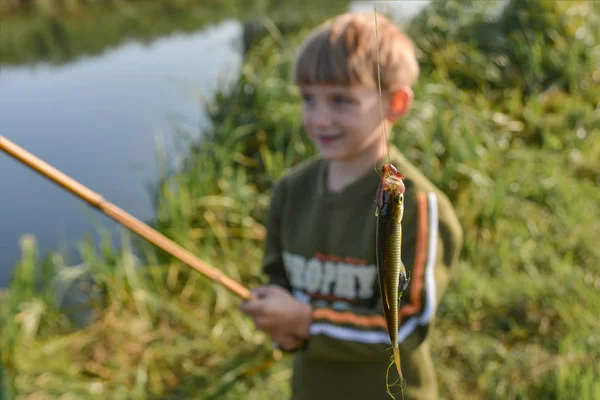 Der Junge zeigt den Fisch, den er an der Angel gefangen hat. — Stockfoto