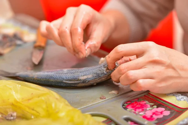 Woman housewife cleaning herring to cook fish food — Stock Photo, Image