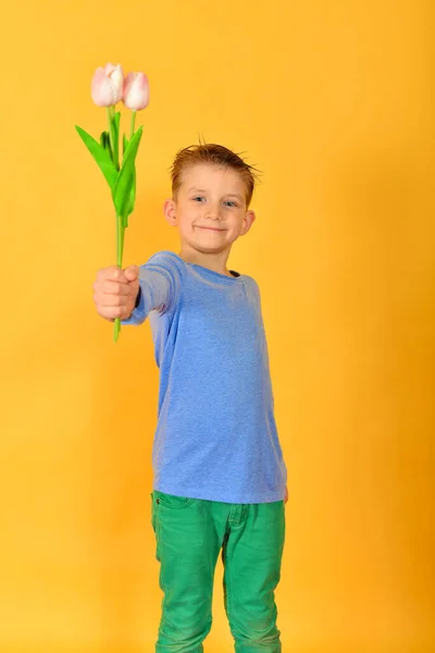 O menino segura em sua mão um buquê de tulipas para parabenizar mulheres e meninas no Dia das Mulheres em 8 de março, uma criança com flores em um fundo amarelo. Instrução . — Fotografia de Stock