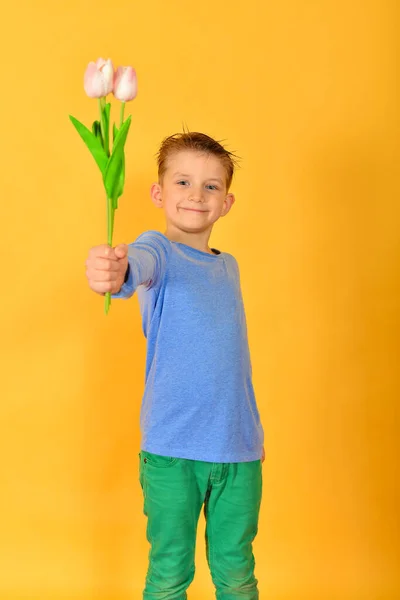 Le garçon tient dans sa main un bouquet de tulipes pour féliciter les femmes et les filles à l'occasion de la Journée de la femme le 8 mars, un enfant avec des fleurs sur fond jaune . — Photo