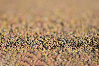 Yüzeyin sığ derinliği rengarenk taşlardan oluşmuş taşların üzerinde..