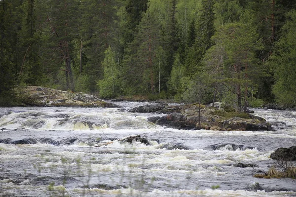 Forsar på den svenska floden av Ammeraan — Stockfoto