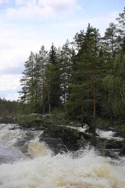 Rapides sur la rivière suédoise d'Ammeraan — Photo